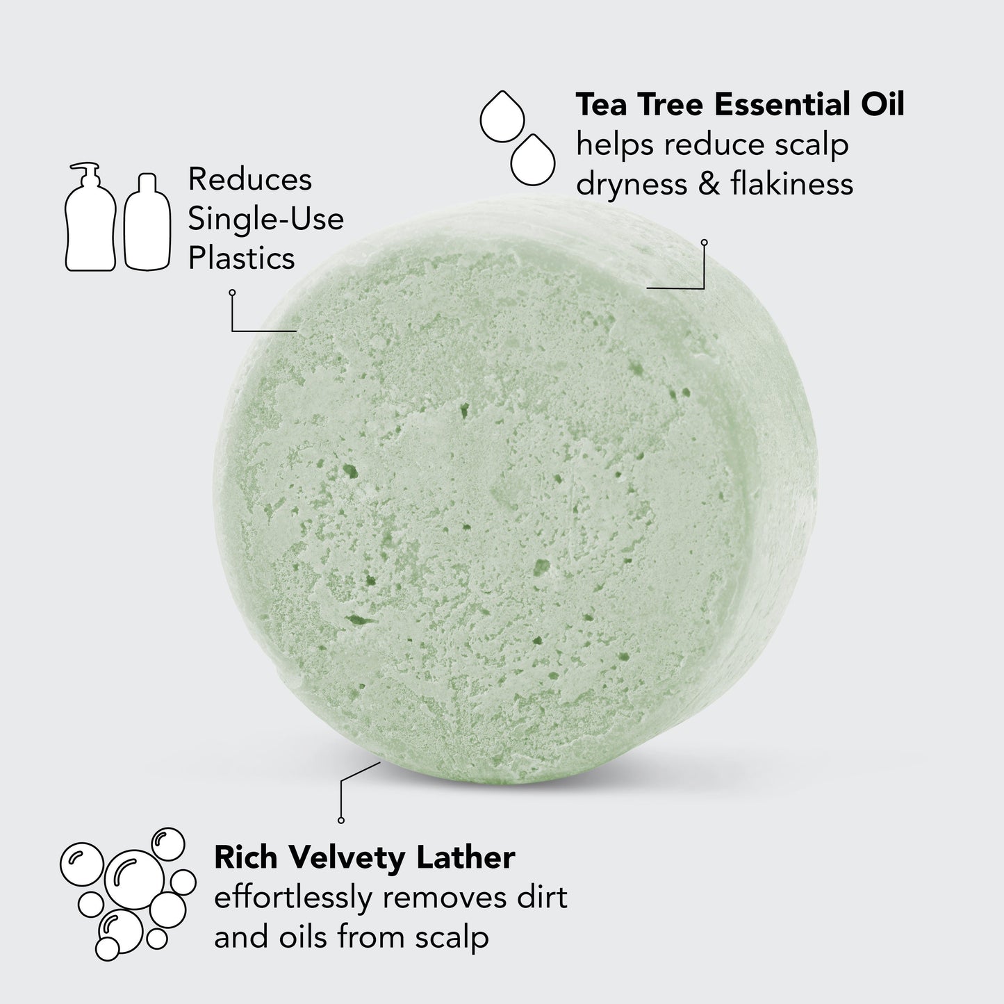 Tea Tree + Mint Clarifying Shampoo Bar
