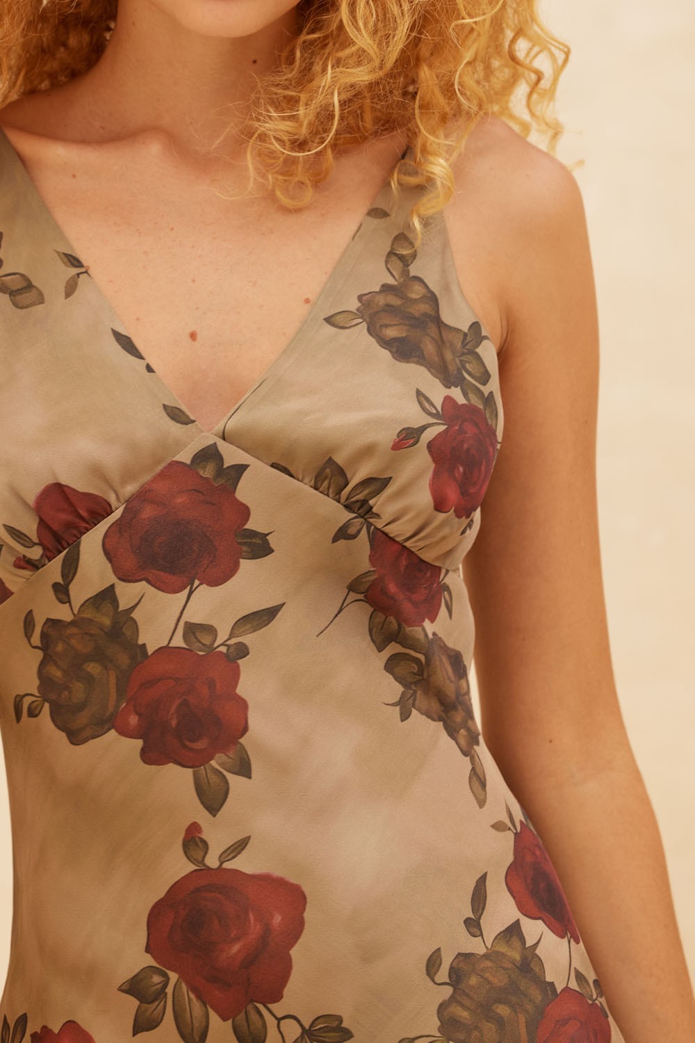 Poetic Roses Dress