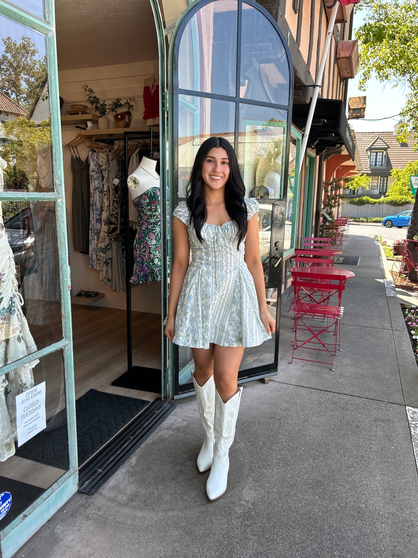Ditsy Floral Flare Dress