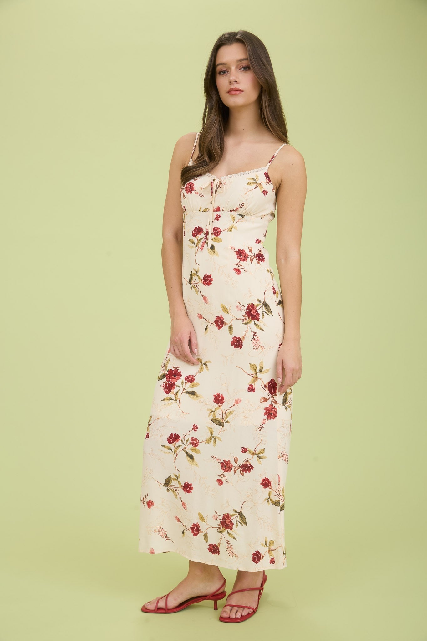 Spring Rose Dress
